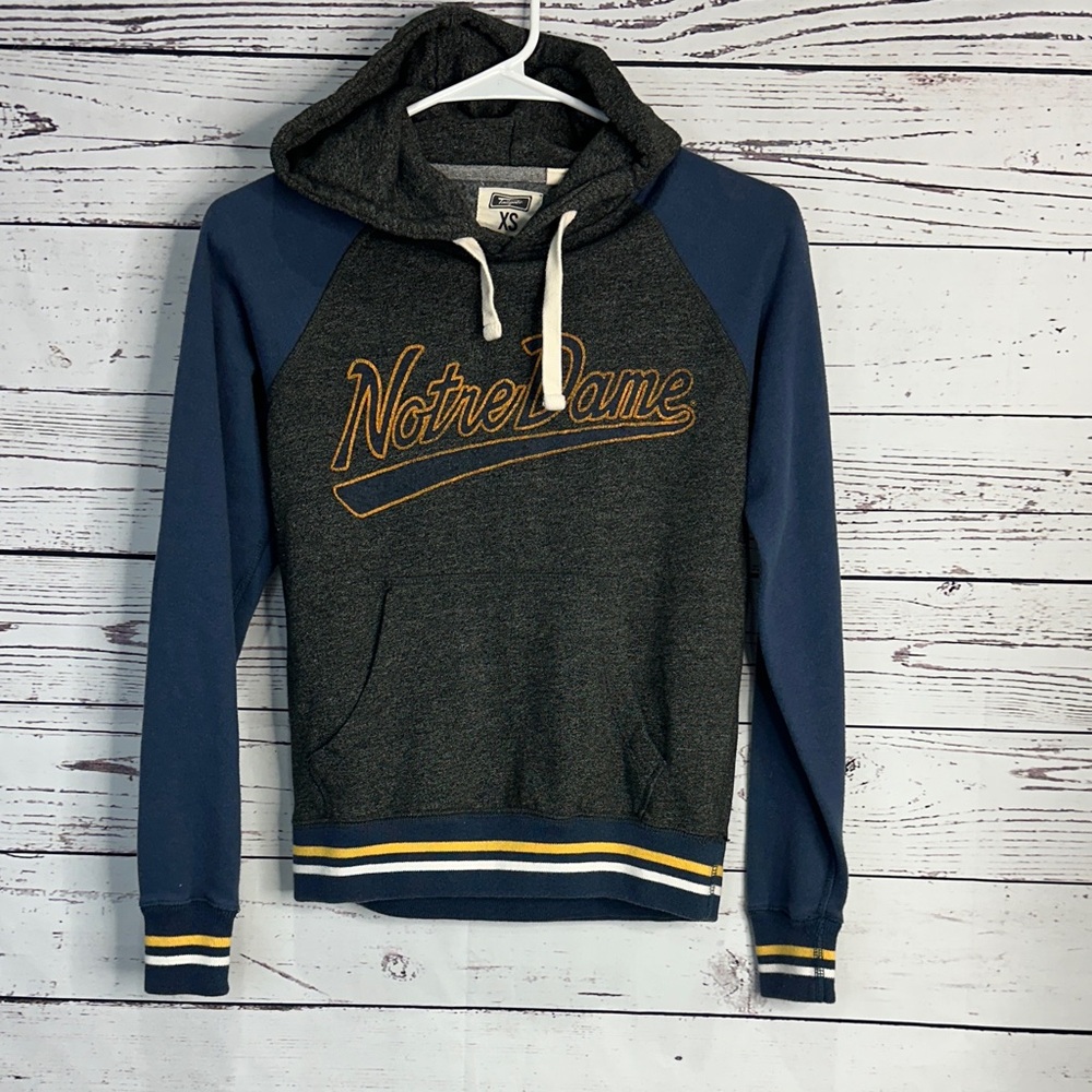 Notre Dame Men's Hoodie - Gray and Blue